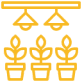 Services Icon